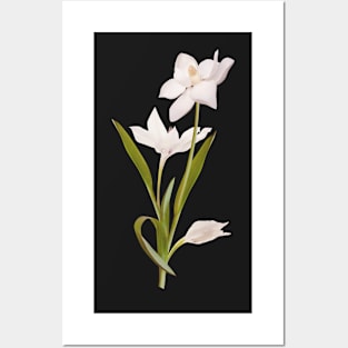 Beautiful Flowers 24 Posters and Art